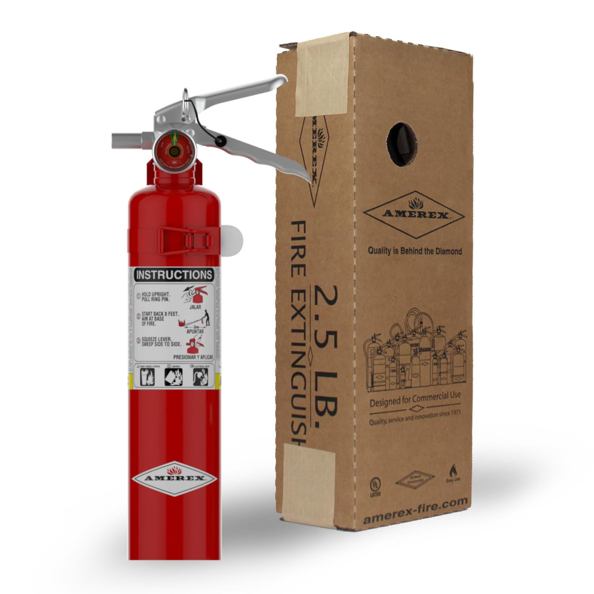 2.5 lbs ABC Dry Chemical Fire Extinguisher R9552