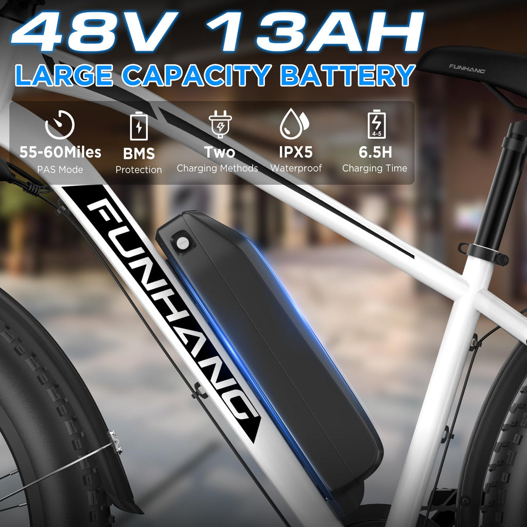 1000W 26" Fat Tire Electric Mountain Bike with 48V 13AH Battery L507