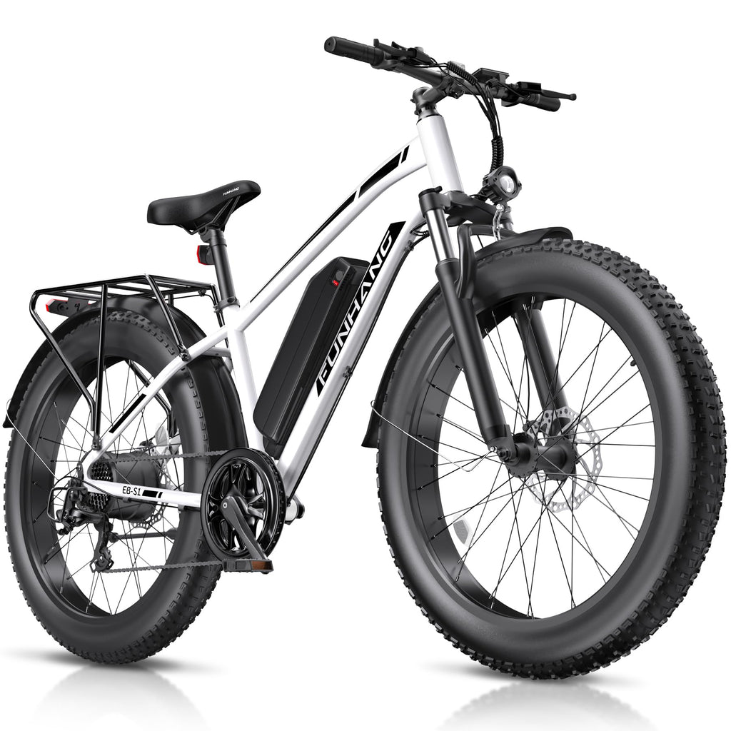 1000W 26" Fat Tire Electric Mountain Bike with 48V 13AH Battery L507