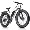 1000W 26" Fat Tire Electric Mountain Bike with 48V 13AH Battery L507
