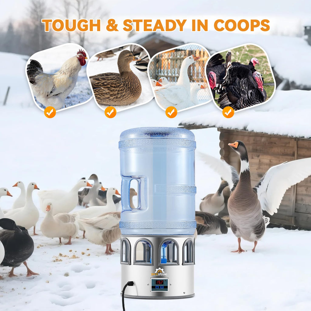 Heated Chicken Waterer 5 Gallon T555518