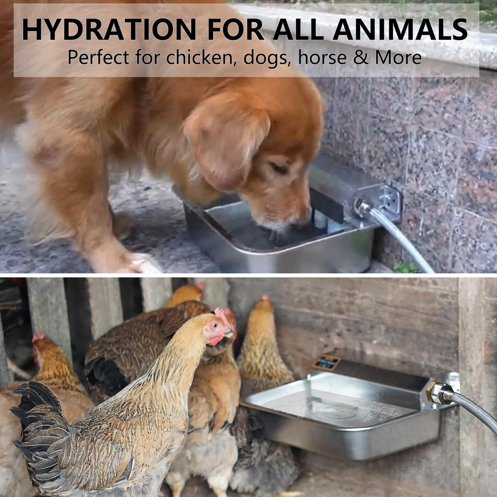 Large 304 Stainless Steel Automatic Chicken Water Dispenser E411