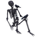 5.4Ft Posable Skeleton with Movable Joints and 2PC Black Feathered Crows X6026