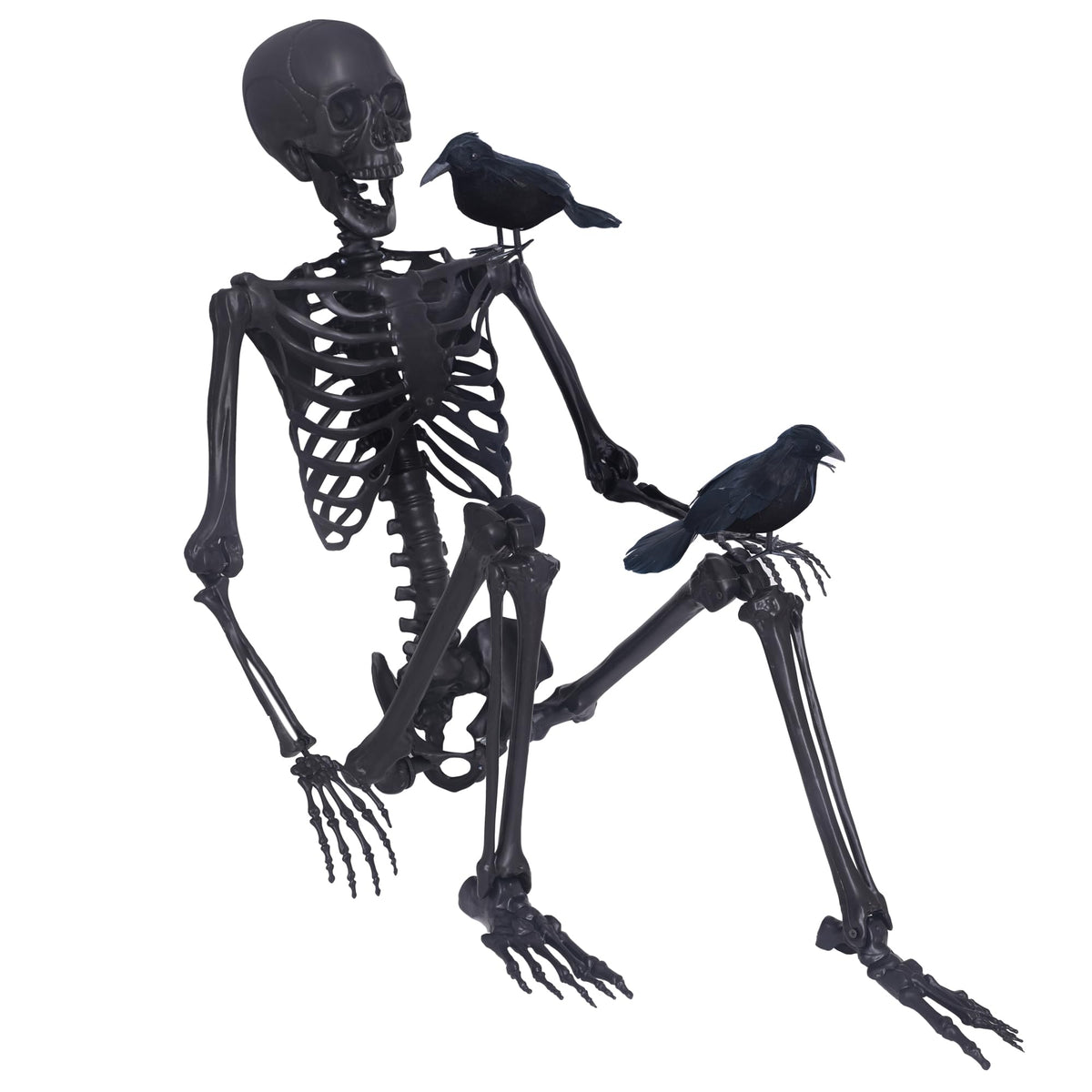 5.4Ft Posable Skeleton with Movable Joints and 2PC Black Feathered Crows X6026