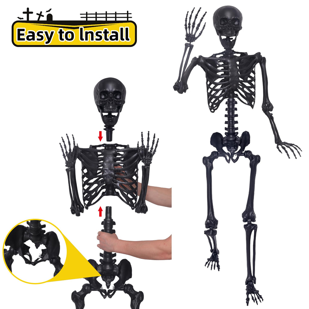 5.4Ft Posable Skeleton with Movable Joints and 2PC Black Feathered Crows X6026