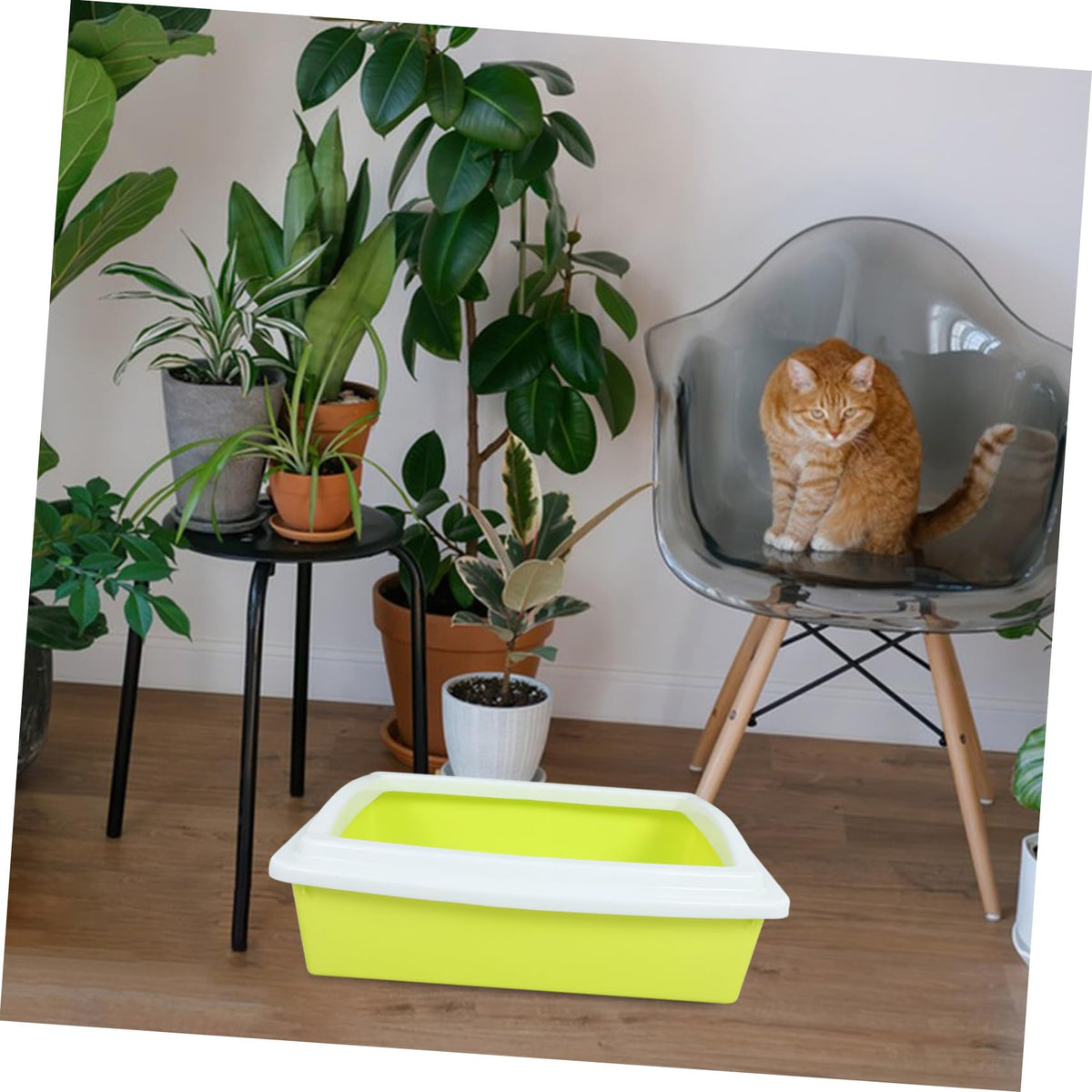 Sifting Cat Litter Box with Frame W73438