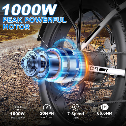 1000W 26" Fat Tire Electric Mountain Bike with 48V 13AH Battery L507