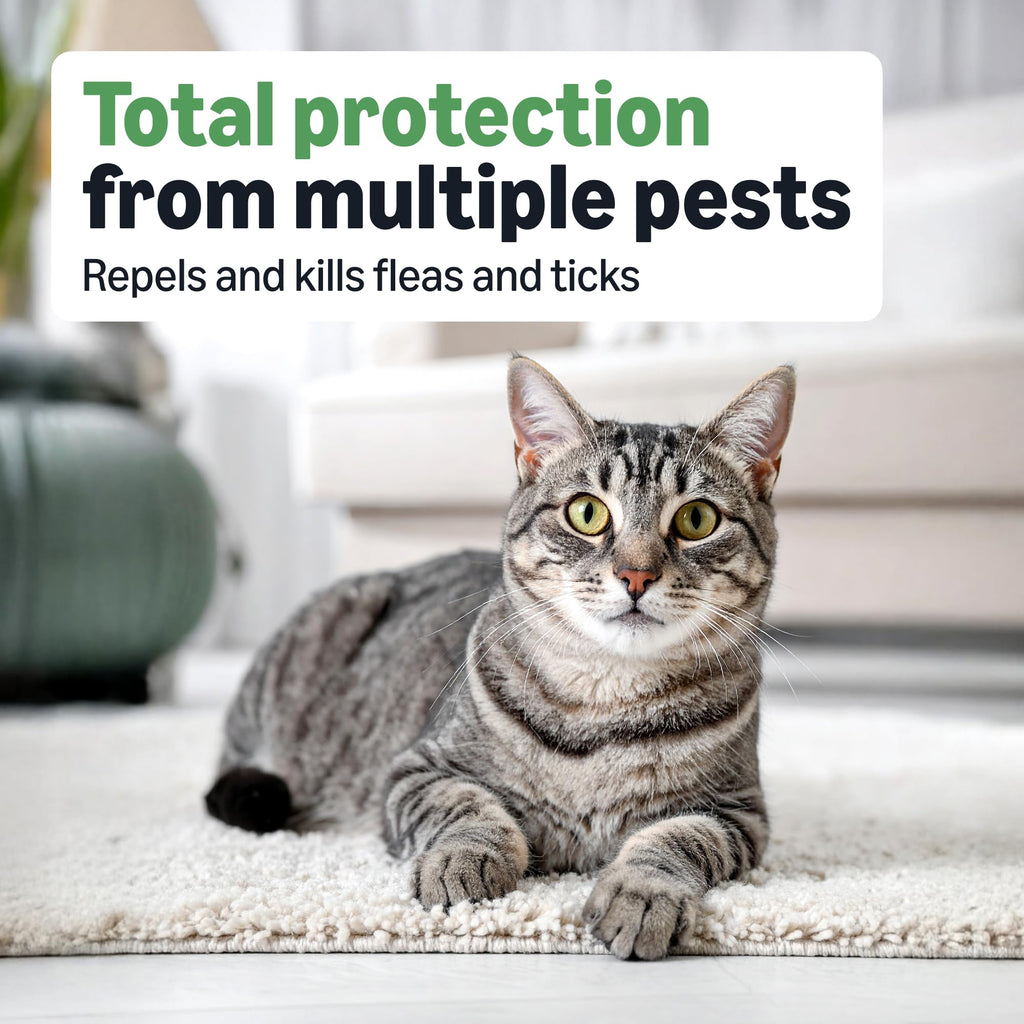 Flea and Tick Topical Treatment for Cats 6 Count L77287
