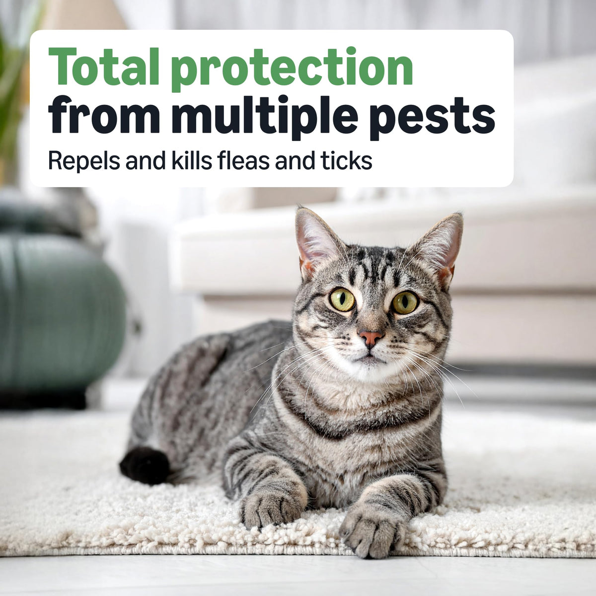 Flea and Tick Topical Treatment for Cats 6 Count L77287