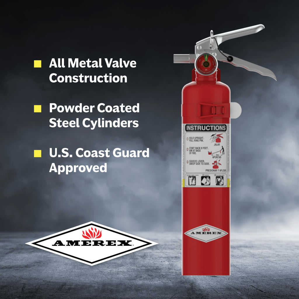 2.5 lbs ABC Dry Chemical Fire Extinguisher R9552