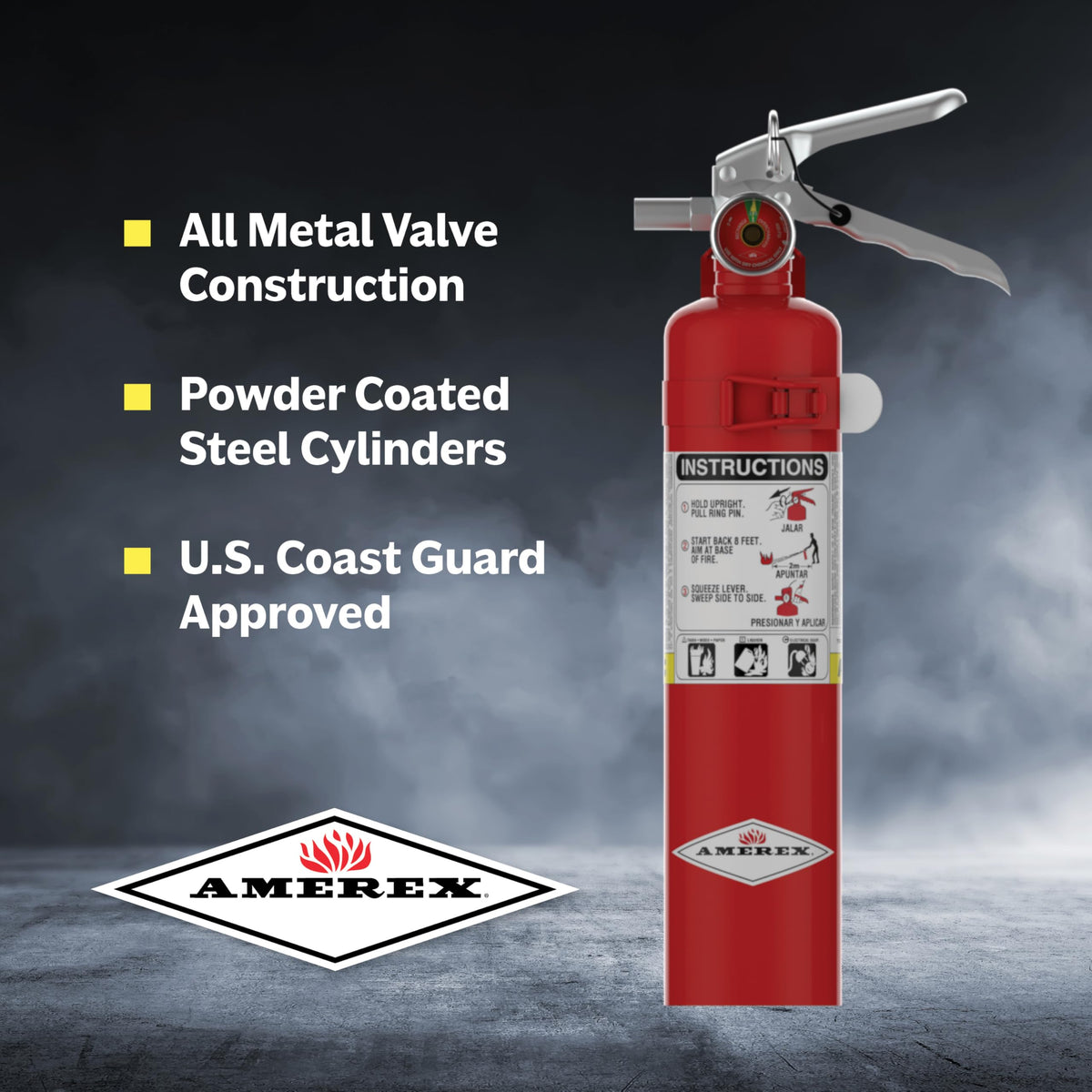 2.5 lbs ABC Dry Chemical Fire Extinguisher R9552